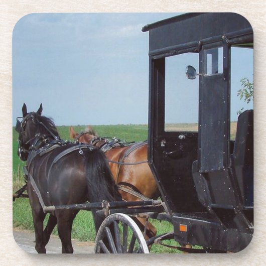 共同作業 コースター (正面)