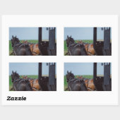 共同作業 長方形シール (シート)