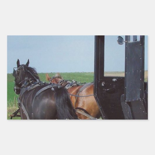 共同作業 長方形シール (正面)