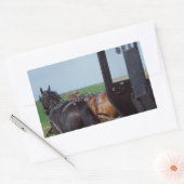 共同作業 長方形シール (封筒)