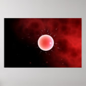 共同受精の概念像 ポスター (正面)