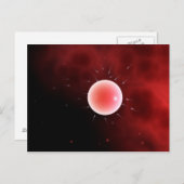 共同受精の概念像 ポストカード (正面/裏面)