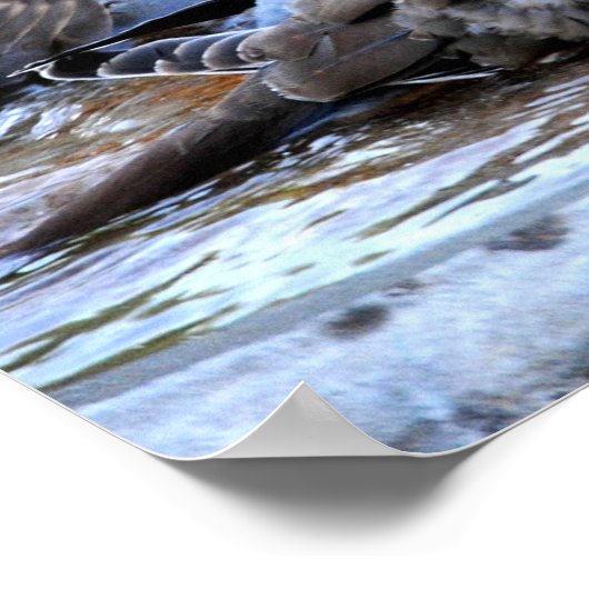 共同風呂 ポスター (角)