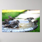 共同風呂 ポスター (正面)