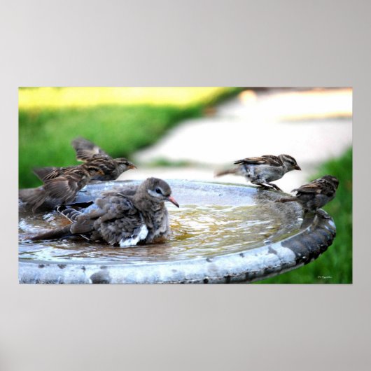 共同風呂 ポスター (正面)