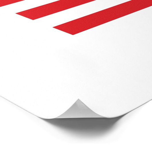 共和党 ポスター (角)