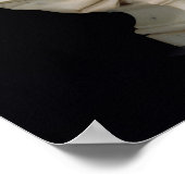 共和国1880年 ポスター (角)