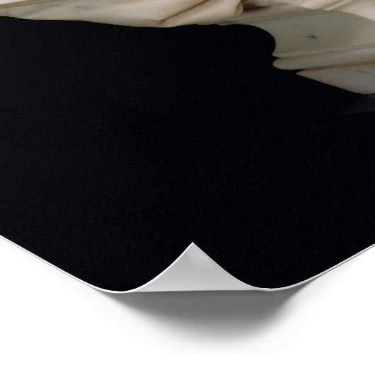 共和国1880年 ポスター (角)