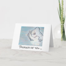 共感書 – Forever with you (cat)