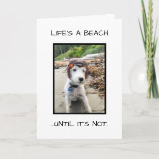 共感証おもしろい書 カード