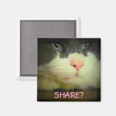 共有と子猫? マグネット (正面/裏面)