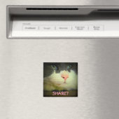 共有と子猫? マグネット (インサイチュ (食洗機))