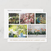 共有の美しいの写真はがき ポストカード (正面/裏面)