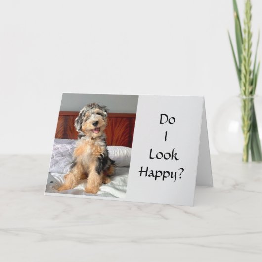 共有の誕生日おめでとう カード (正面)