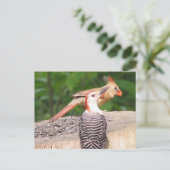 共有シードはがき ポストカード (スタンド正面)