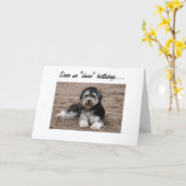 共有誕生日ワン共有おもしろいは? カード (黄色い花)