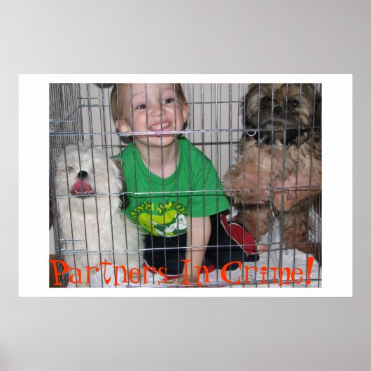 共犯者だ！ ポスター (正面)