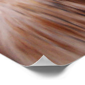 共犯 ポスター (角)