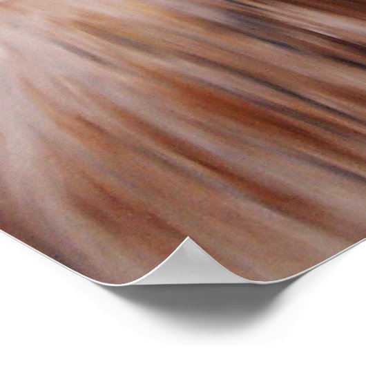 共犯 ポスター (角)