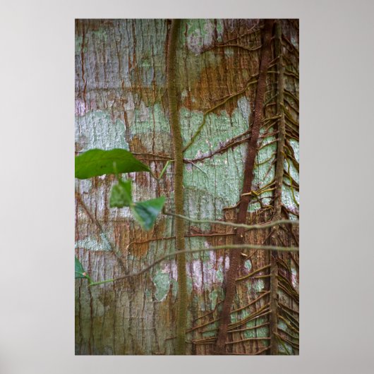 共生 ポスター (正面)