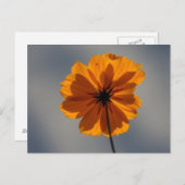 共生 ポストカード (正面/裏面)