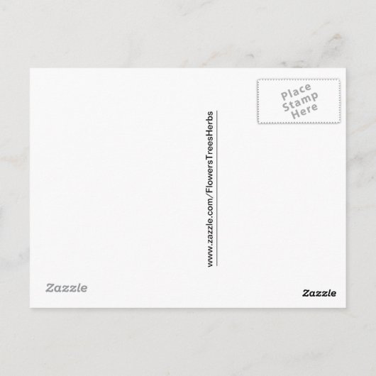 共生 ポストカード (裏面)