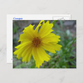 共生 ポストカード (正面/裏面)