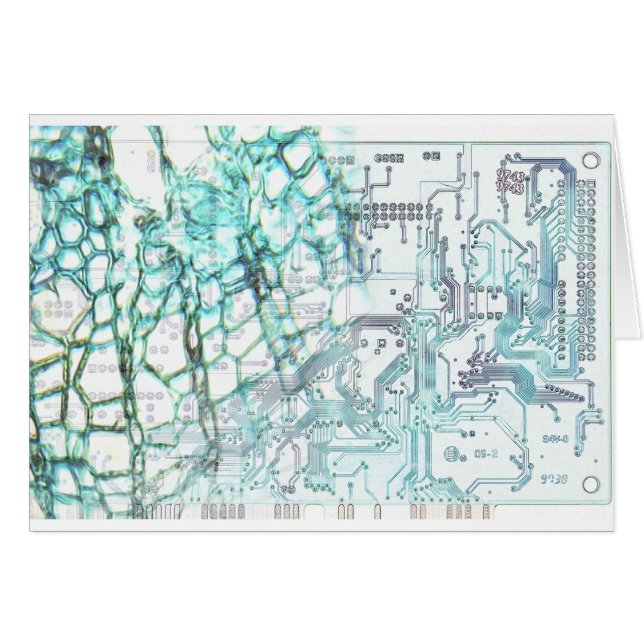 共生-概念 (正面横)