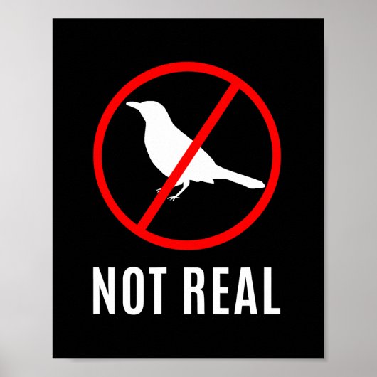 共謀おもしろい理論の鳥は嘘のミーム ポスター (正面)