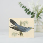 共通のかっこうの旧式なプリント ポストカード (スタンド正面)