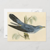 共通のかっこうの旧式なプリント ポストカード (正面/裏面)