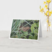 共通のカエルの挨拶状 カード (黄色い花)