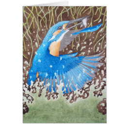 共通のカワセミ