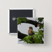 共通のズアオアトリ 缶バッジ (正面&裏面)