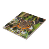 共通のバックアイズの蝶陶磁器の写真のタイル タイル (側面)