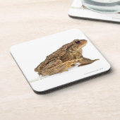 共通のヒキガエルまたはヨーロッパヒキガエル(Bufoのbufo)の怒っていること コースター (左側)