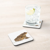 共通のヒキガエルまたはヨーロッパヒキガエル(Bufoのbufo)の怒っていること コースター (右側)