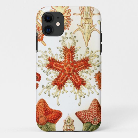 共通のヒトデのデザイン Case-Mate iPhoneケース (裏面)