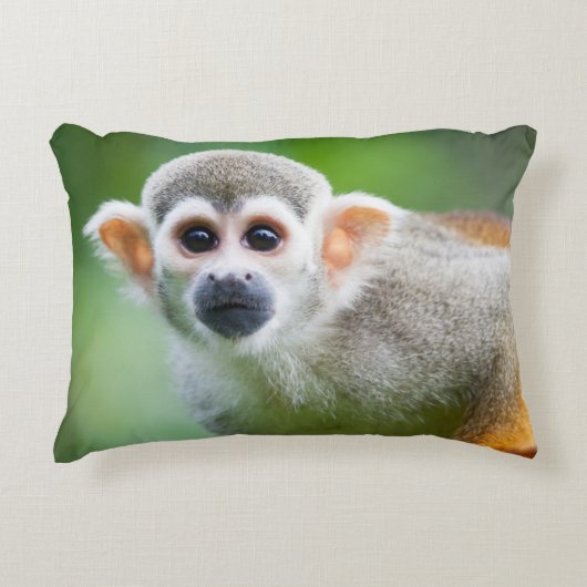 共通のリスザルのクローズアップ アクセントクッション (正面)