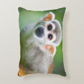 共通のリスザルのクローズアップ アクセントクッション (正面(垂直))