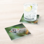 共通のリスザルのクローズアップ ガラスコースター (アングル)