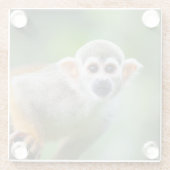 共通のリスザルのクローズアップ ガラスコースター (裏面)