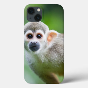 共通のリスザルのクローズアップ iPhone 13ケース