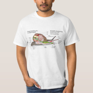 共通の庭かたつむり(螺旋形のaspersa)の図表 tシャツ