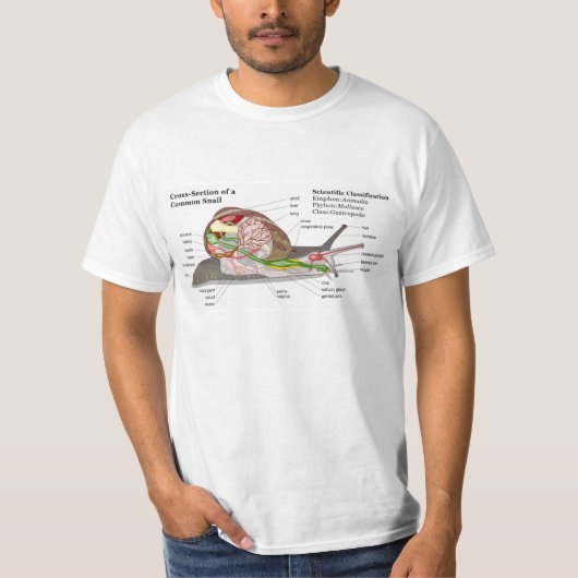 共通の庭かたつむり(螺旋形のaspersa)の図表 tシャツ (正面)