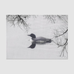 共通の水潜り鳥は冬の北湖で泳ぎます 薄葉紙