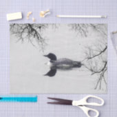 共通の水潜り鳥は冬の北湖で泳ぎます 薄葉紙 (クラフト)