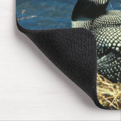 共通の水潜り鳥 マウスパッド (コーナー)