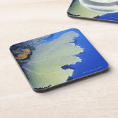 共通の海ファンのクローズアップ コースター (左側)