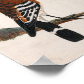 共通の音色 | ウィリアム・リーウィン ポスター (角)